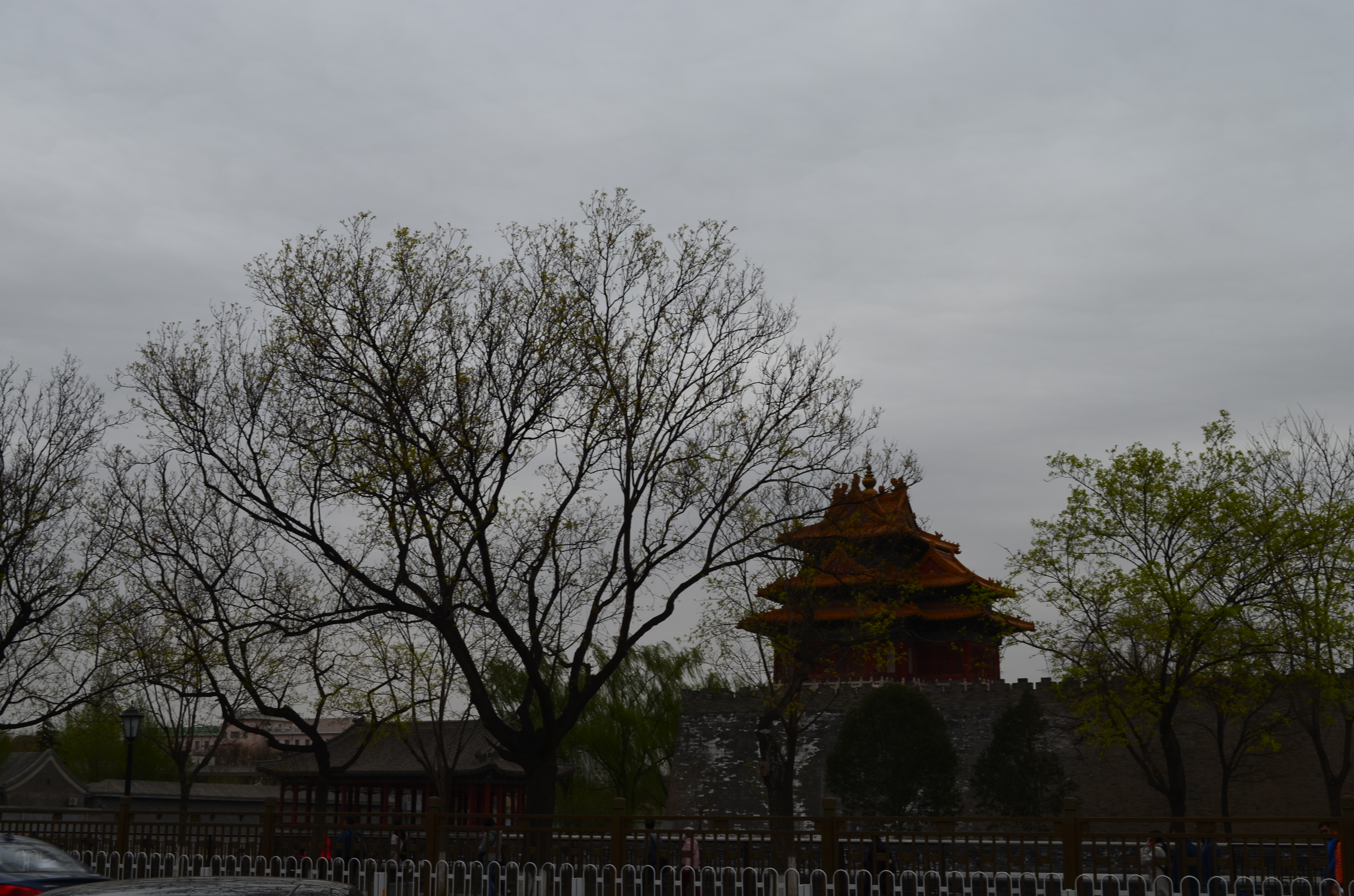 ./2018/03 - Viking China/06 - Forbidden City/DSC_11016.JPG